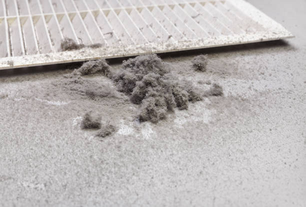 Best Professional Duct Cleaning Services  in Garland, TX