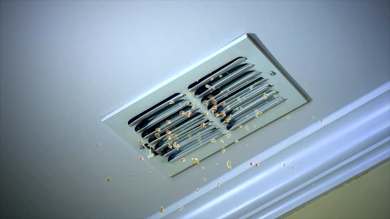 Best Air Duct Mold Removal  in Garland, TX